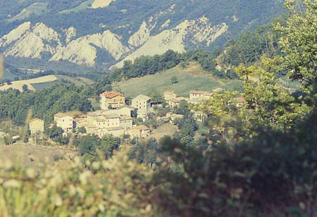 panorama