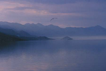 Lago%20gabbiano