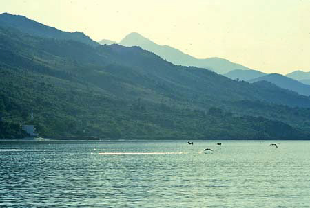 lago%20gabbiano