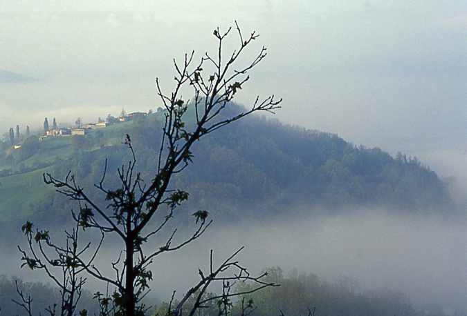 gottano%20nebbia