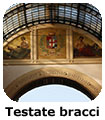 Galleria Testate bracci